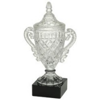 sportprijzen_glazen_cup_beker_bokaal_trofee_goedkoop
